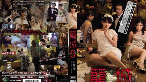  Everything You Wanted To Know About Mẹ Kế Của Tôi Sho Nishino And Were Afraid To Ask